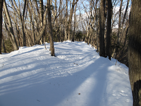 20180126hike (348)